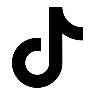 tiktok-black-icon-logo-png_seeklogo-429281